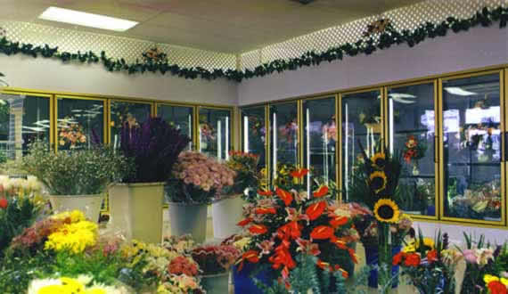 Floral Display