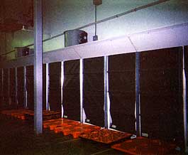 Refrigeration Warehouse Pallets